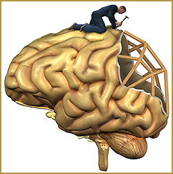 Acquired Brain Injury - Rehabilitation