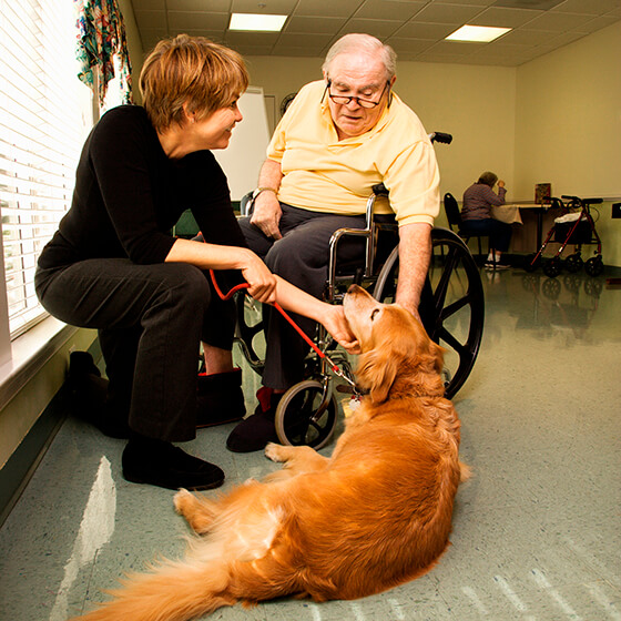 Home Care Services and Pet Therapy